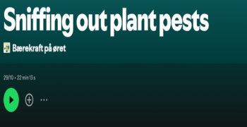  PurPest Podcast: Sniffing out plant pests