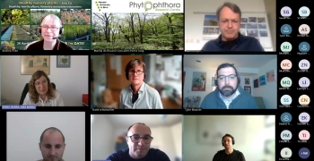 Webinar on Healthy Nursery Plants: Recording now available on Youtube