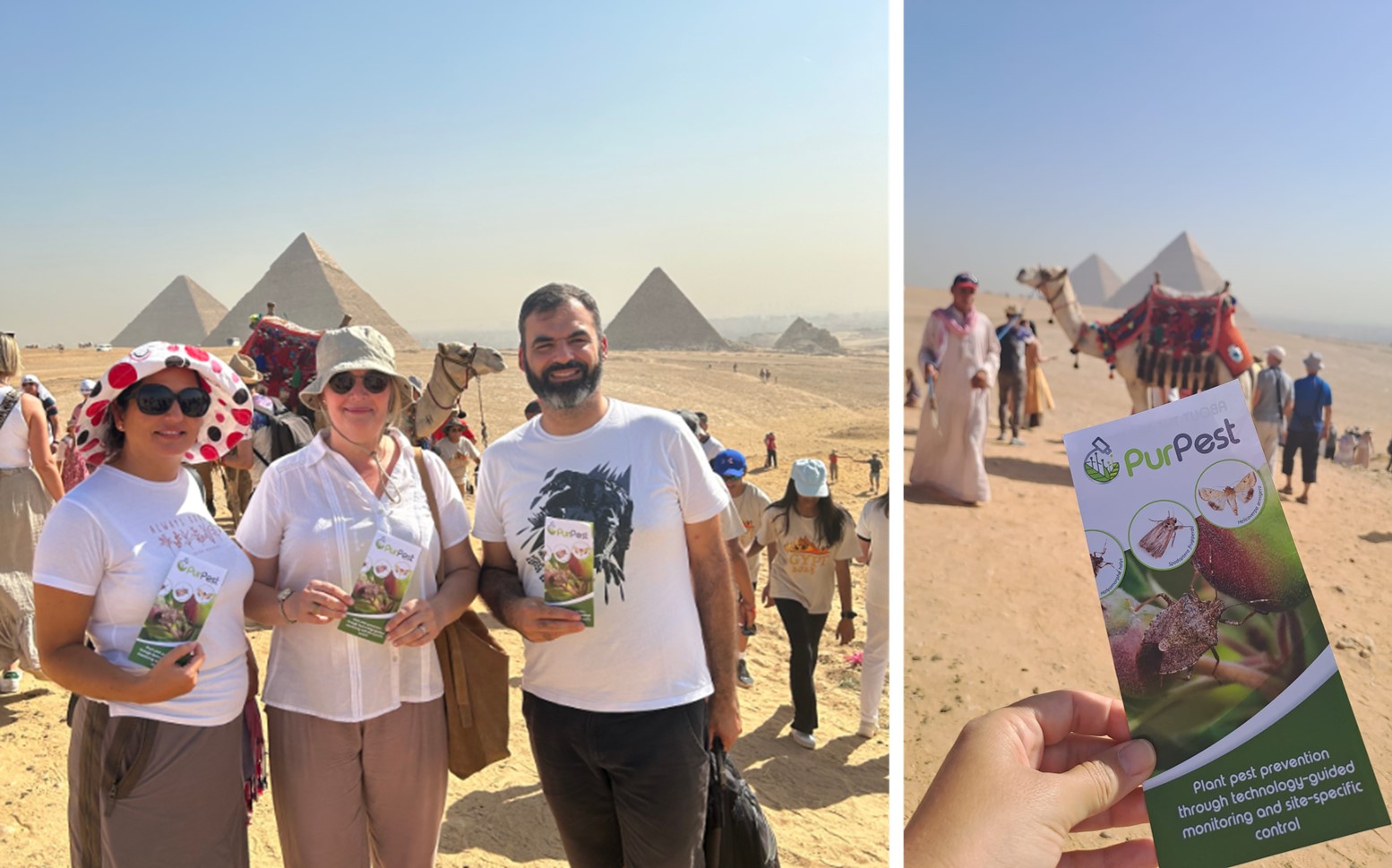 PurPest team at ONTA 2023 PurPest team at ONTA 2023